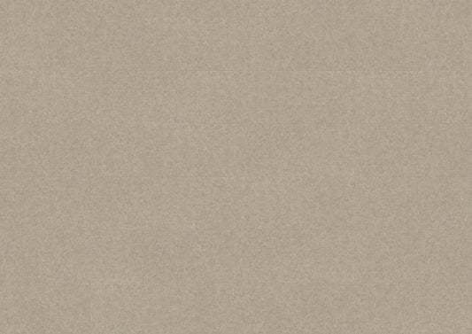 Objectflor Klebe-Vinyl Expona Living Grey Loft 8048