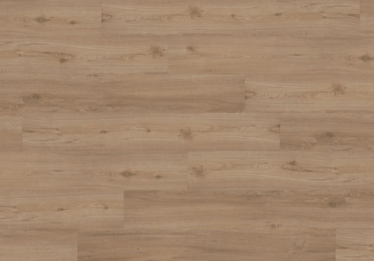 Joka Klebe-Vinyl DESIGN 555 2,5mm/NS 0,55mm Dryback 5509 Spring Oak