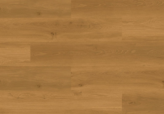 Joka Klebe-Vinyl DESIGN 555 Wooden Styles 2,5mm/NS 0,55mm Dryback 5705 Oak Natural EIR