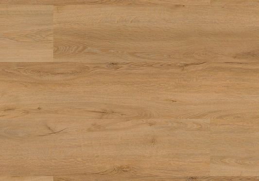 Repac Klick-Vinyl Fresh Oak Authentic 50-05 MF99897 - pure 1020 | inkl. Trittschalldämmung & weißer Sockelleiste