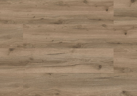 Repac Klick-Vinyl Legend Oak 50-03 MF99934 - eiche hansegrau | inkl. Trittschalldämmung & weißer Sockelleiste