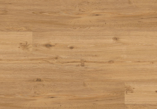 Repac Klick-Vinyl Legend Oak 50-03 MF99938 - eiche gebürstet | inkl. Trittschalldämmung & weißer Sockelleiste