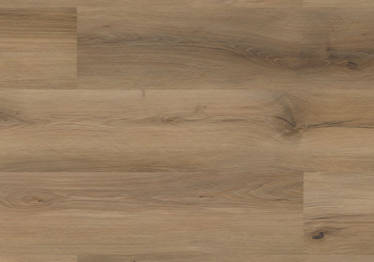 Repac Klick-Vinyl Nature Trend Authentic 65-05 MF99966 - honey oak | inkl. Trittschalldämmung & weißer Sockelleiste