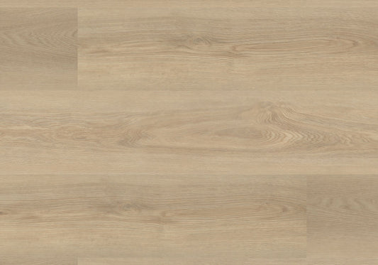 Repac Klick-Vinyl Nature Trend Authentic 65-05 MF99968 - light oak | inkl. Trittschalldämmung & weißer Sockelleiste