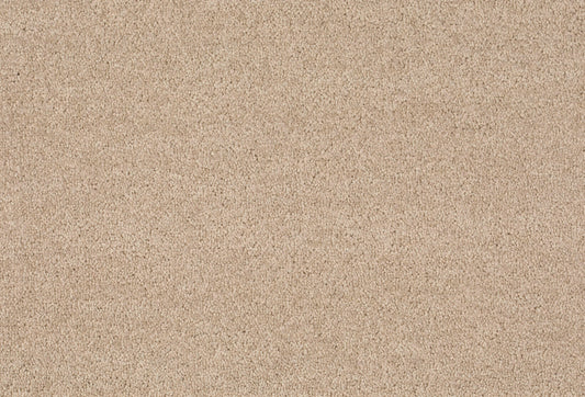 Joka Teppichboden Cosaro Format 25 Farbe 810 | 400cm Rollenbreite