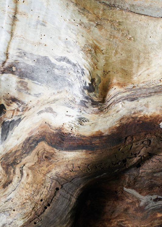 Tapete Wandbild 20728 Color III 2025 | 2,00 x 2,80 m