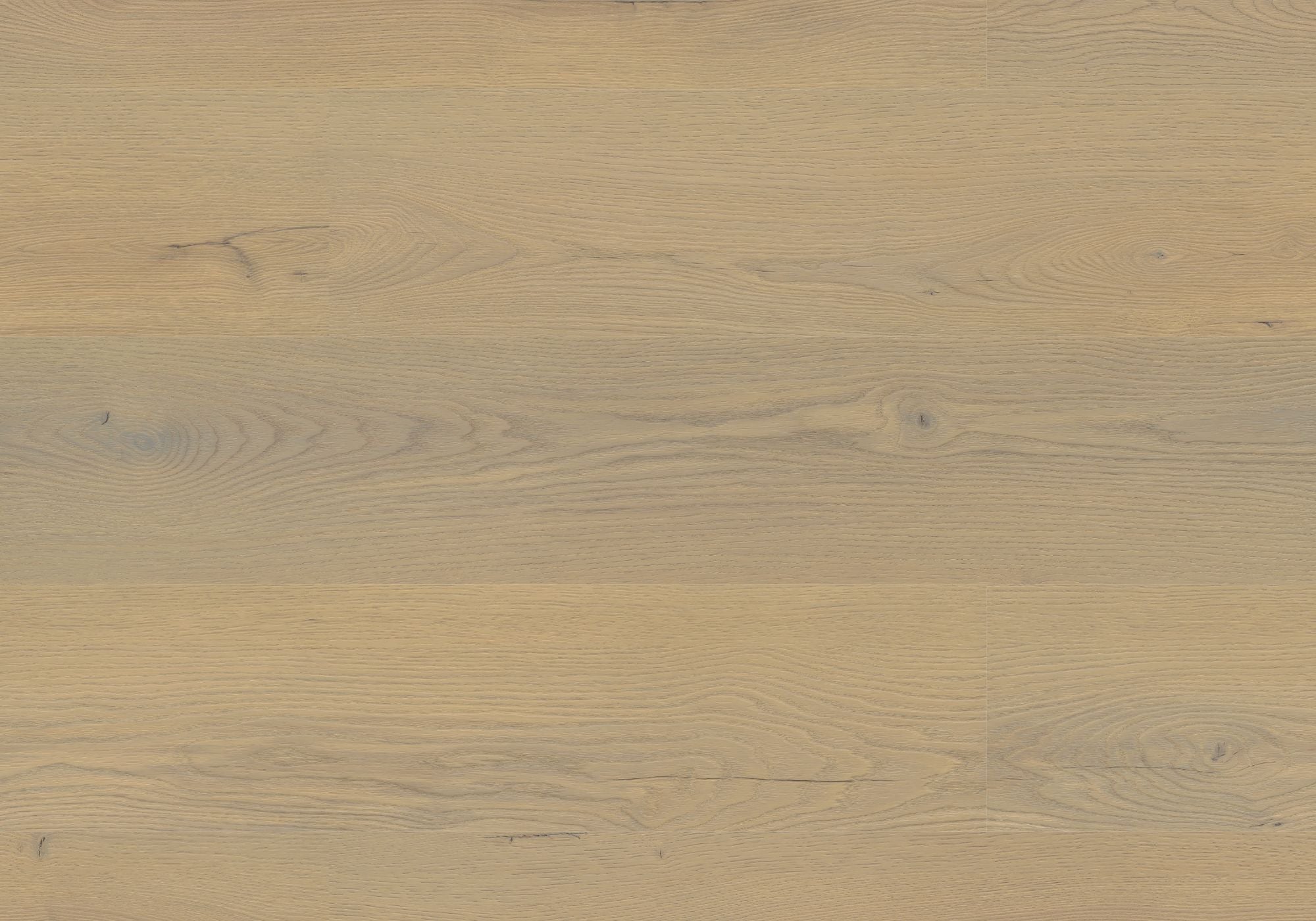 Repac Klebe-Vinyl Prime Oak 25-05 MF100033 - pure 3020 | inkl. weiße Sockelleiste