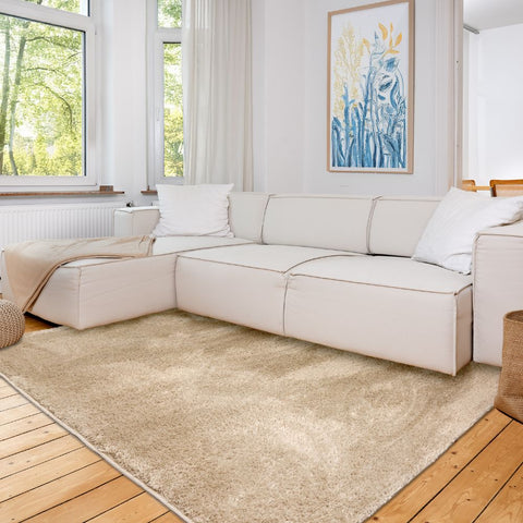 Astra Paulie 6983 Hochflor-Teppich Beige