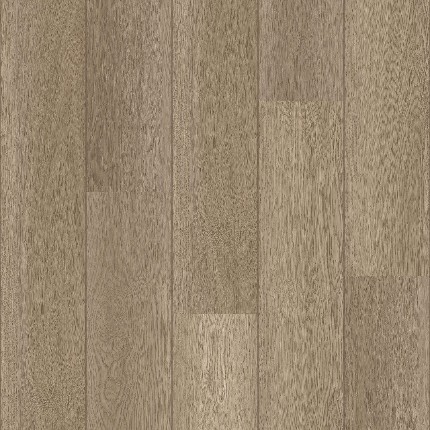 COREtec Klick-Vinyl Holzoptik Alberta Authentics - 50 LVRE 4851
