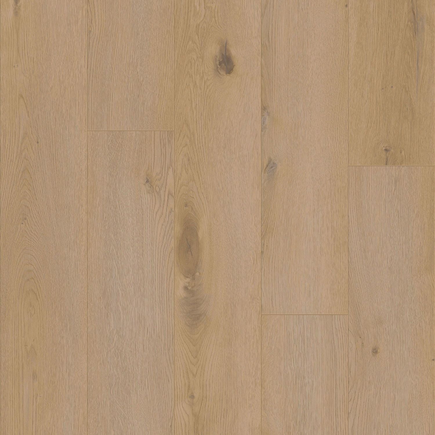 COREtec Klick-Vinyl Holzoptik Champlain Authentics - 50 LVRE 115