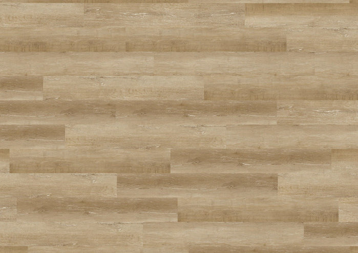 Objectflor Klebe-Vinyl Expona Living Tide Oak 8031