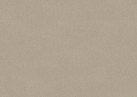 Objectflor Klebe-Vinyl Expona Living Grey Loft 8048