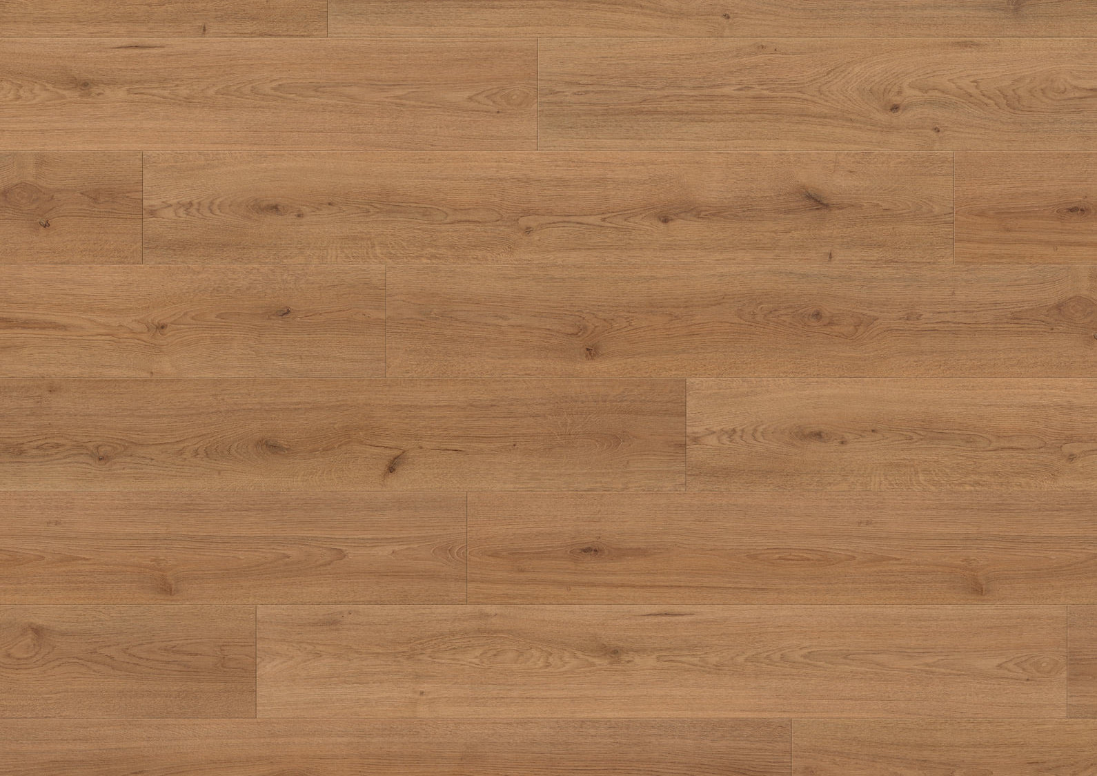 Joka HOMEline Laminatboden V4 7mm/31er Klasse PRO-Connect-System 5G 3689 - Oak Harmony V4 AS