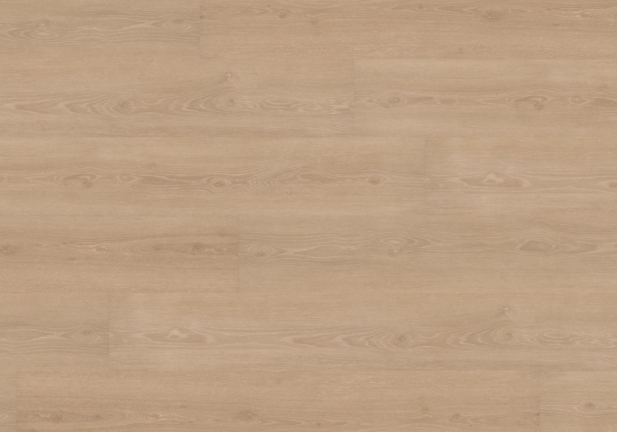 Joka Klebe-Vinyl DESIGN 555 2,5mm/NS 0,55mm Dryback 5305 Perfect Beige Oak