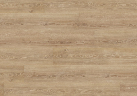 Joka Klebe-Vinyl DESIGN 555 2,5mm/NS 0,55mm Dryback 5308 Perfect Ivory Oak
