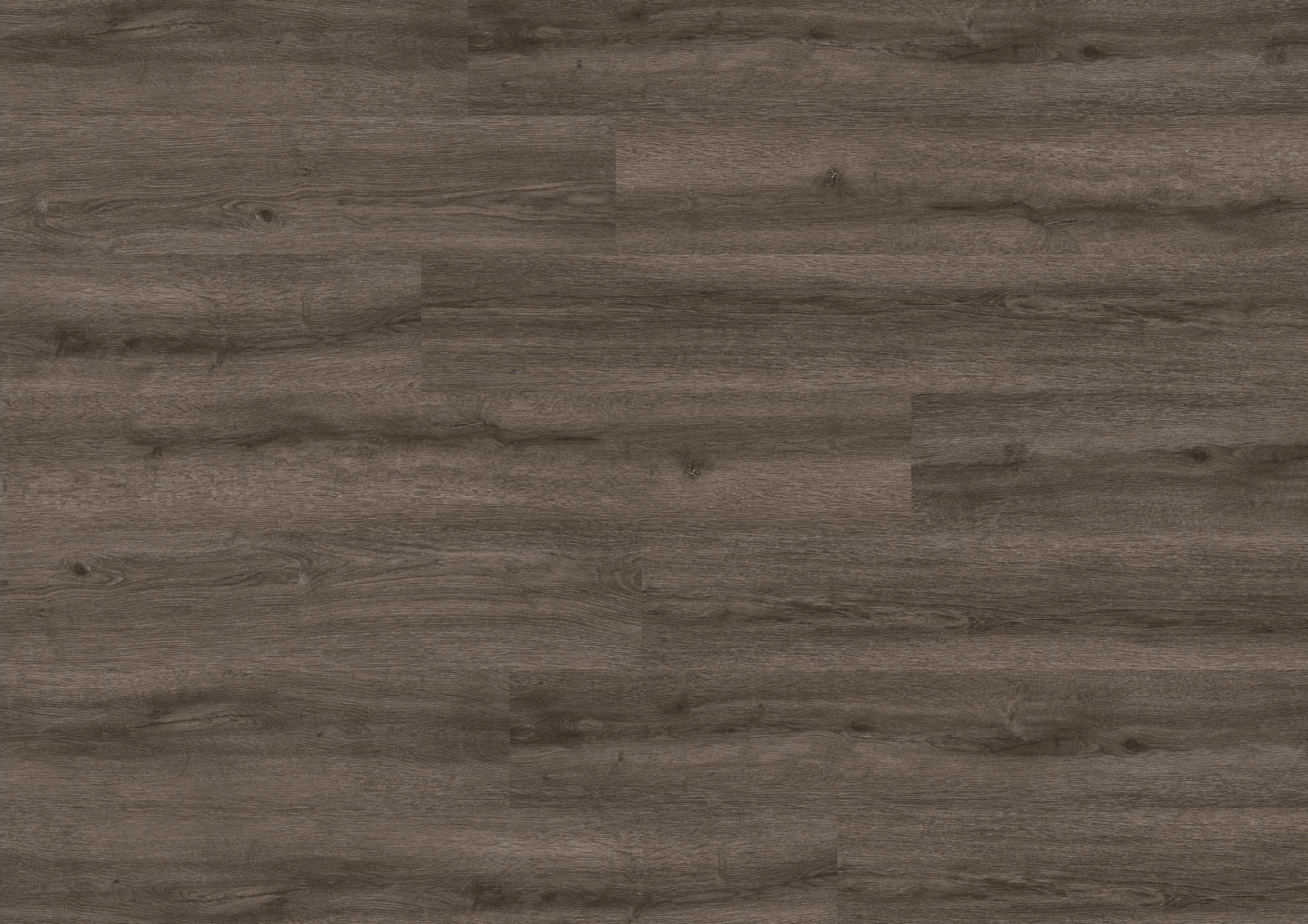 Joka Klebe-Vinyl DESIGN 555 2,5mm/NS 0,55mm Dryback 5309 Weathered Grey Oak