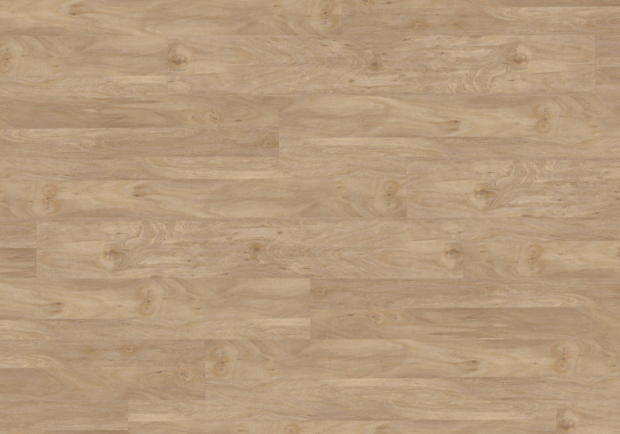 Joka Klebe-Vinyl DESIGN 555 2,5mm/NS 0,55mm Dryback 5413 Bleached Elm
