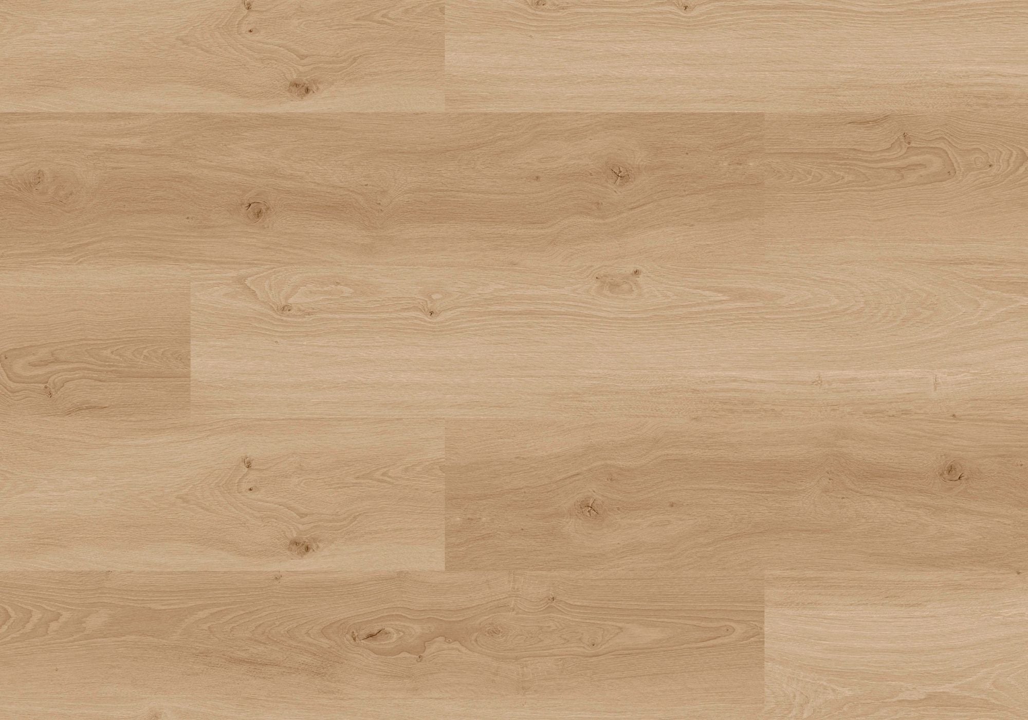 Joka Klebe-Vinyl DESIGN 555 Wooden Styles 2,5mm/NS 0,55mm Dryback 5704 Oak Blond EIR