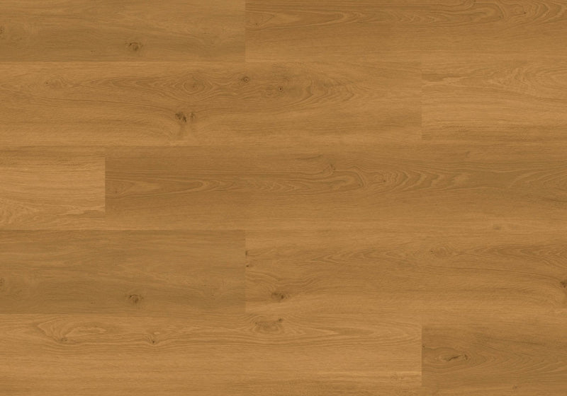 Joka Klebe-Vinyl DESIGN 555 Wooden Styles 2,5mm/NS 0,55mm Dryback 5705 Oak Natural EIR