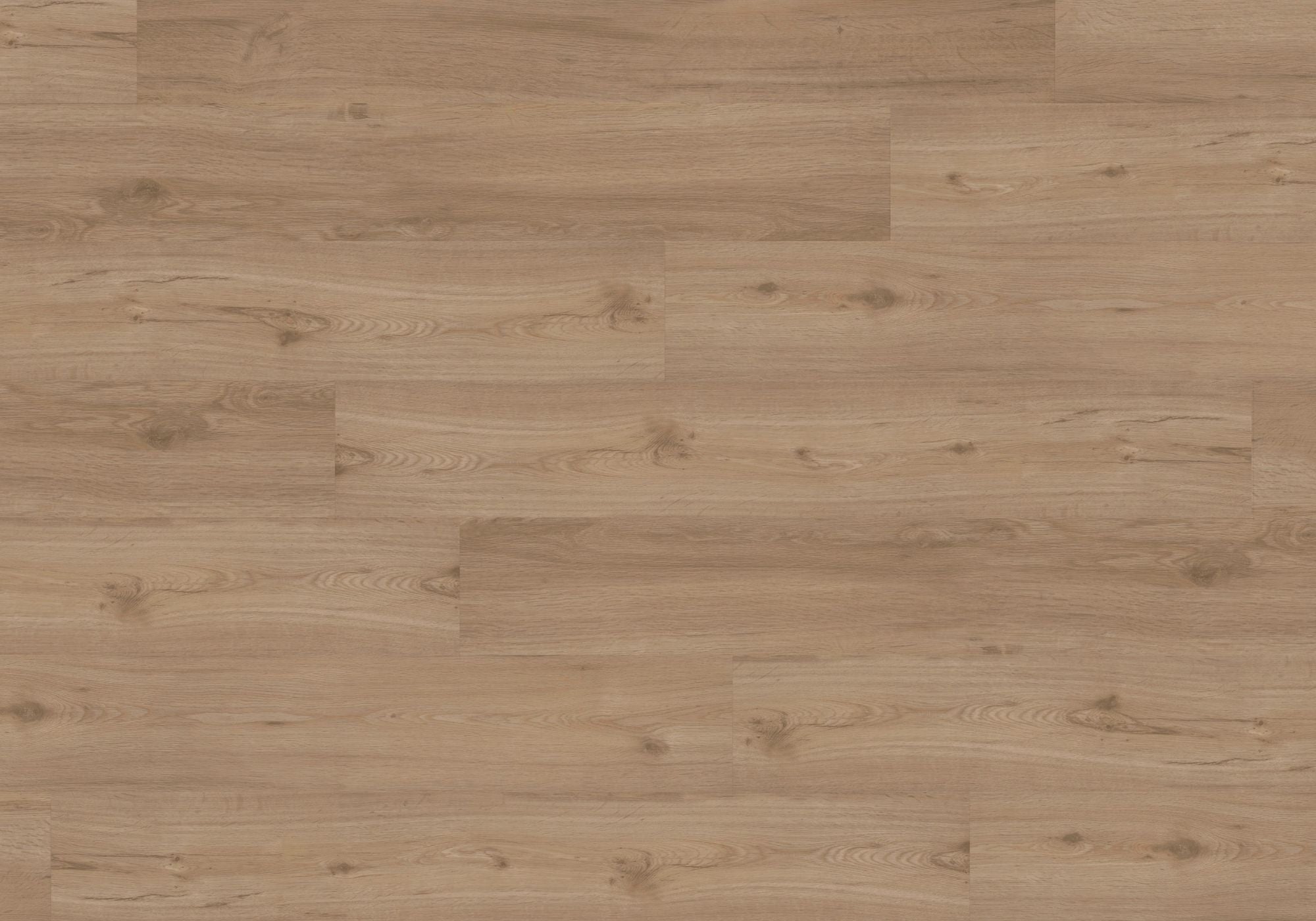 Joka Klick-Vinyl Designböden DESIGN 555 Click 5,0mm/NS 0.55mm 478P Spring Oak