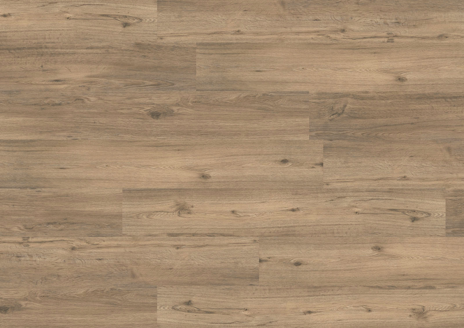 Joka Klick-Vinyl Designböden DESIGN 555 Click 5,0mm/NS 0.55mm Rigid Board m. IXPE 509 Spring Oak 17,78x121,28