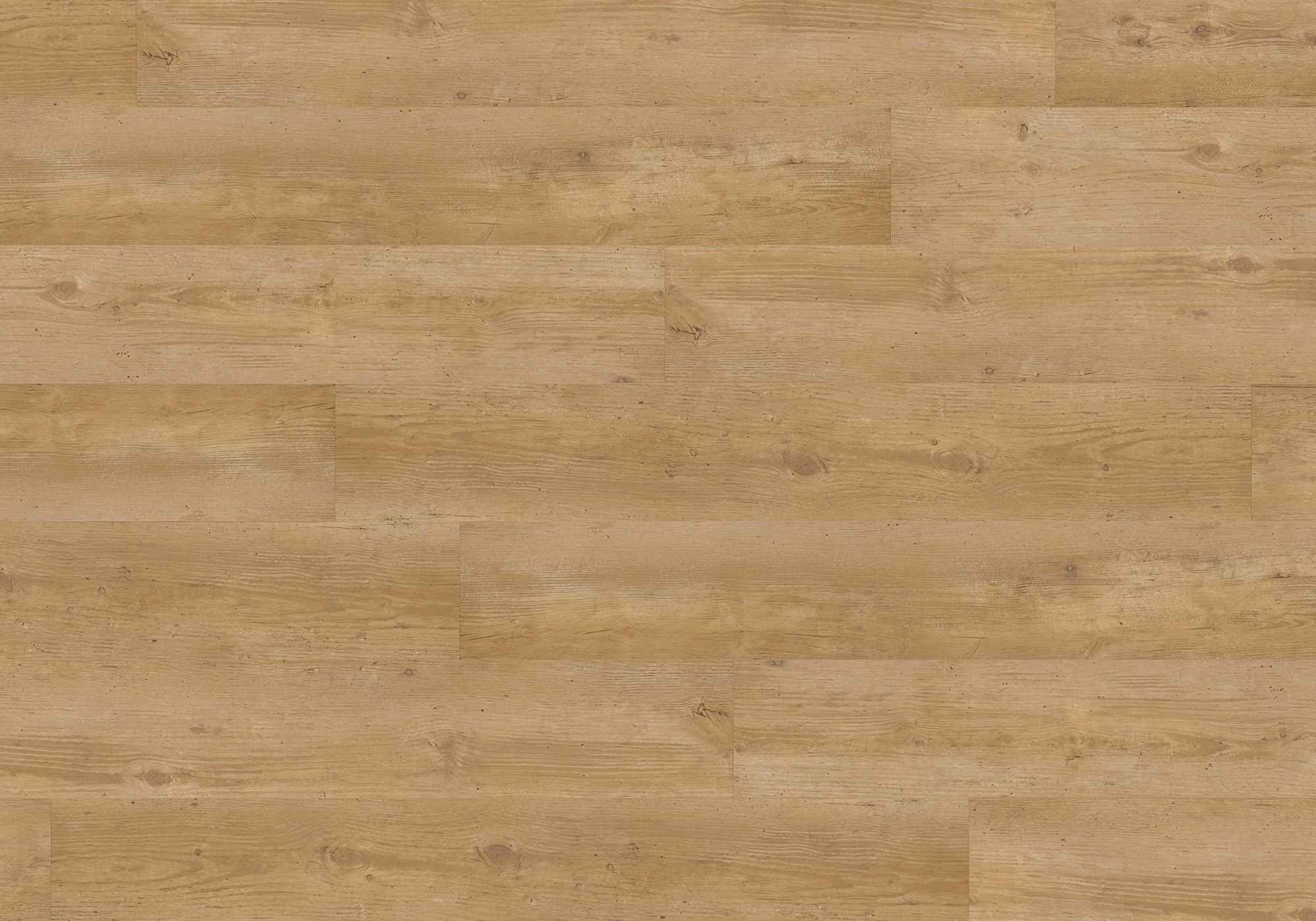 Joka Klick-Vinyl Designböden Sinero HDF Clickvariante 8,5/34er 503 Nat.Conifer