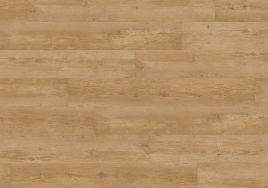Joka Klick-Vinyl Designböden Sinero HDF Clickvariante 8,5/34er 503 Nat.Conifer