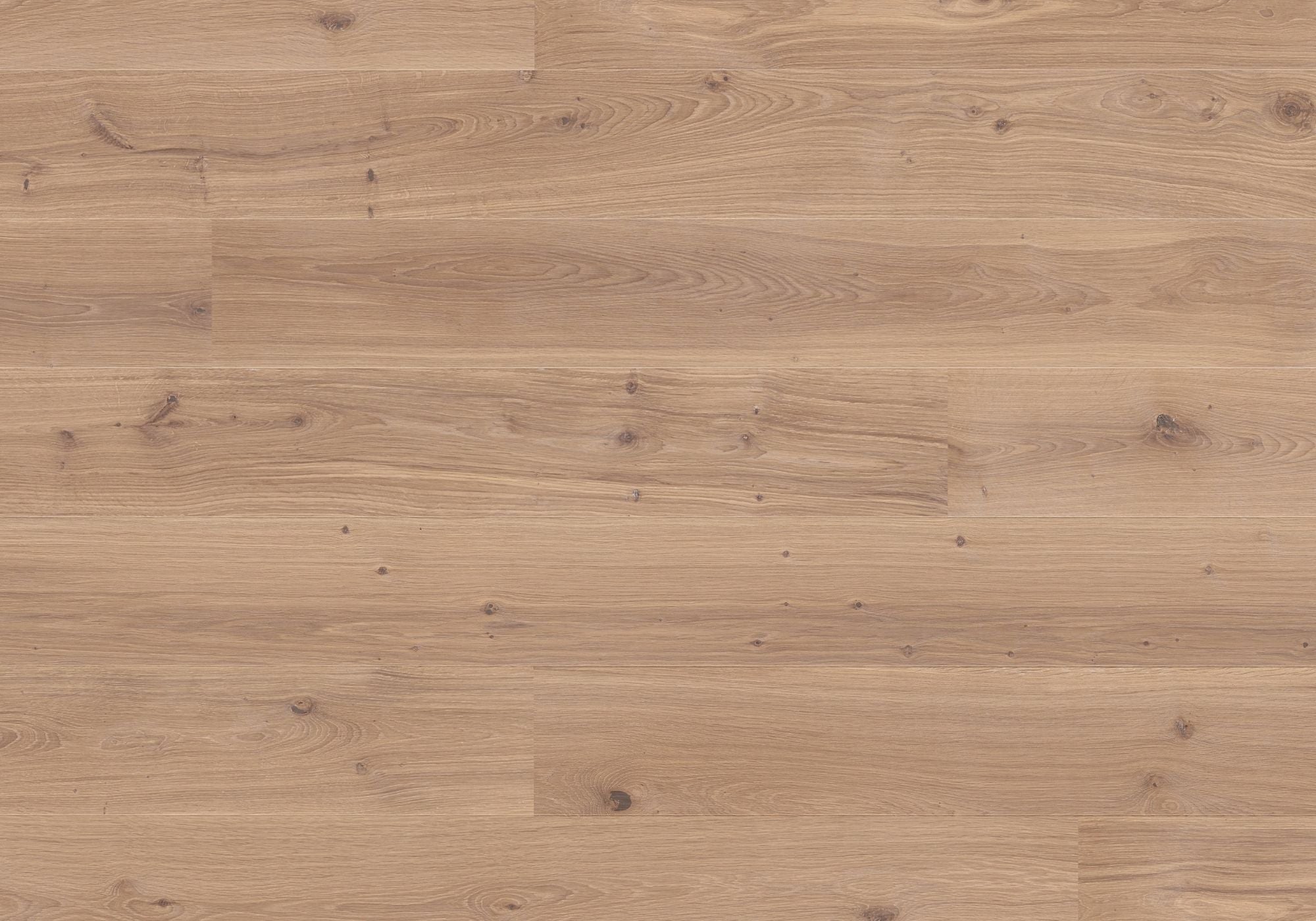 Joka Parkett CALGARY 527LD COMPACT 3-S Landhausdiele m.PRO-Connect-System5G E3614 Eiche creme g. NATURE ÖL