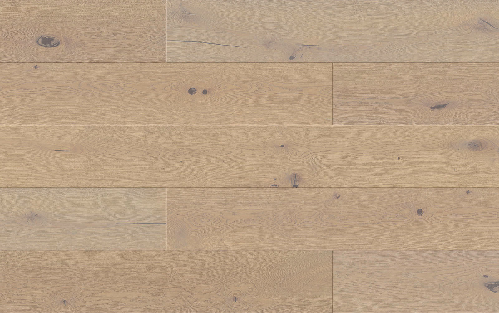 Joka Parkett CALGARY 545LDX BARRIQUE 3-S Landhausdiele mit Nut&Feder-System E7475 Eiche breeze  b.VILLA ÖL