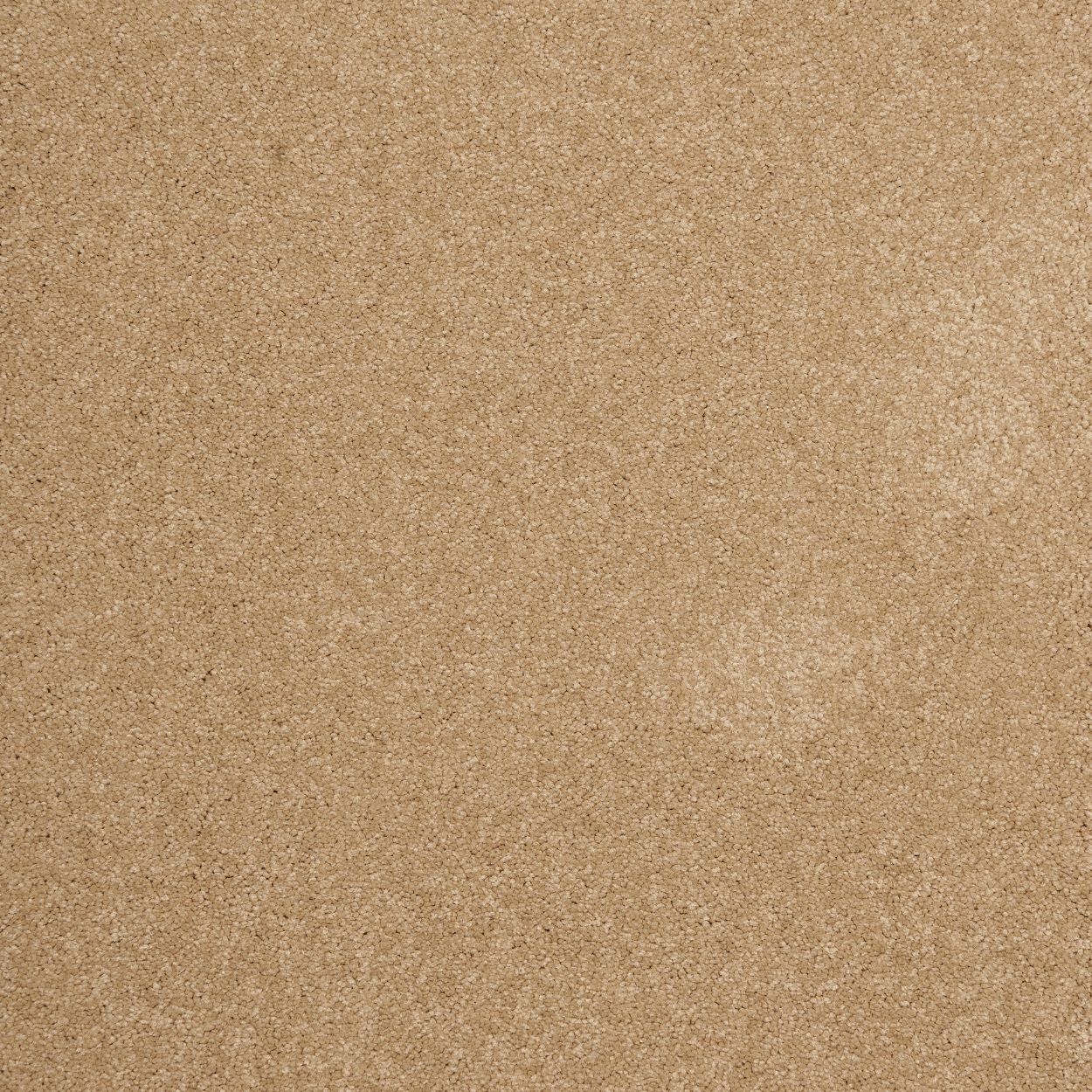 Joka Teppichboden Amazing Arriva 027 Farbe 630