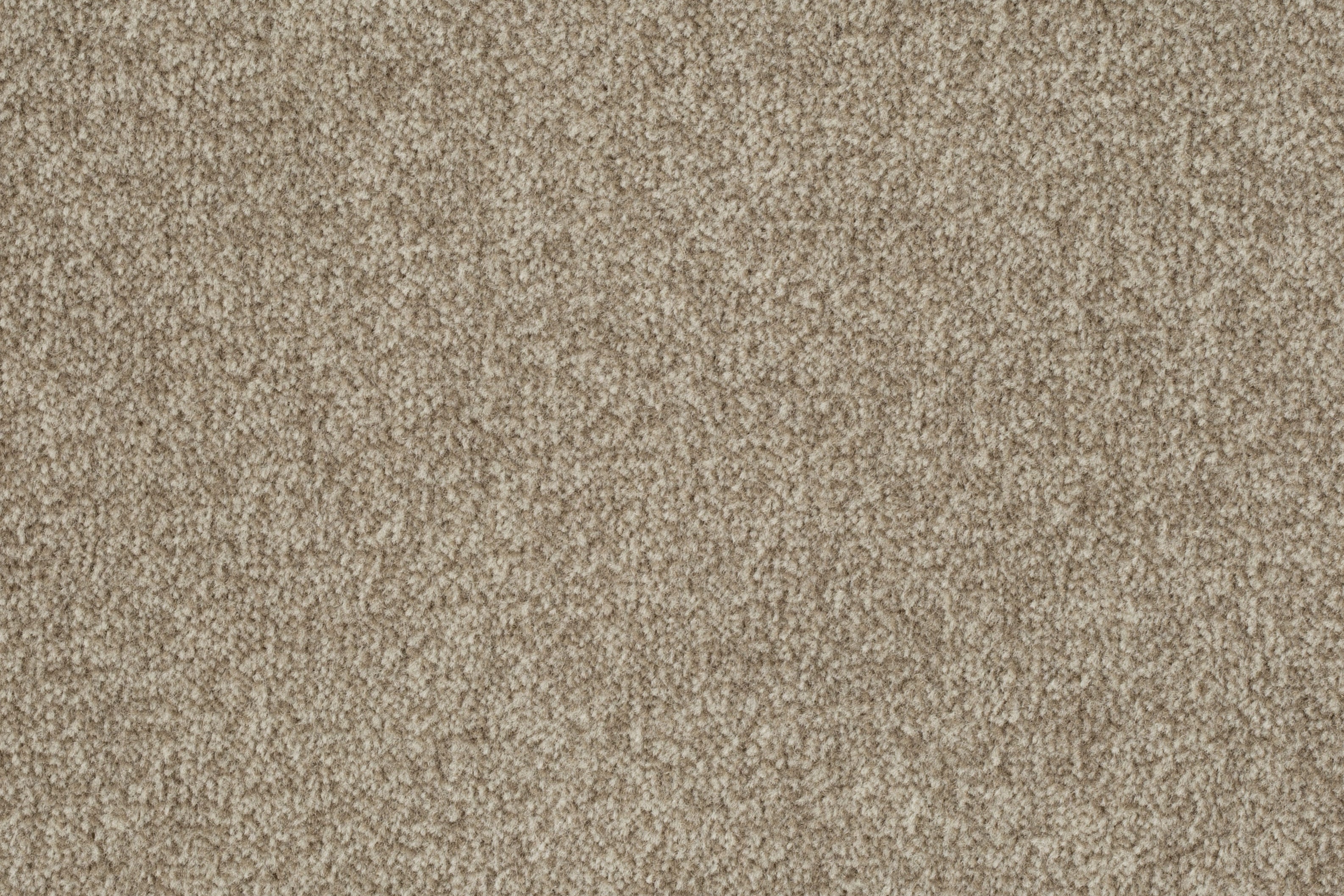 Joka Teppichboden Artus Homeline 24 Farbe 262