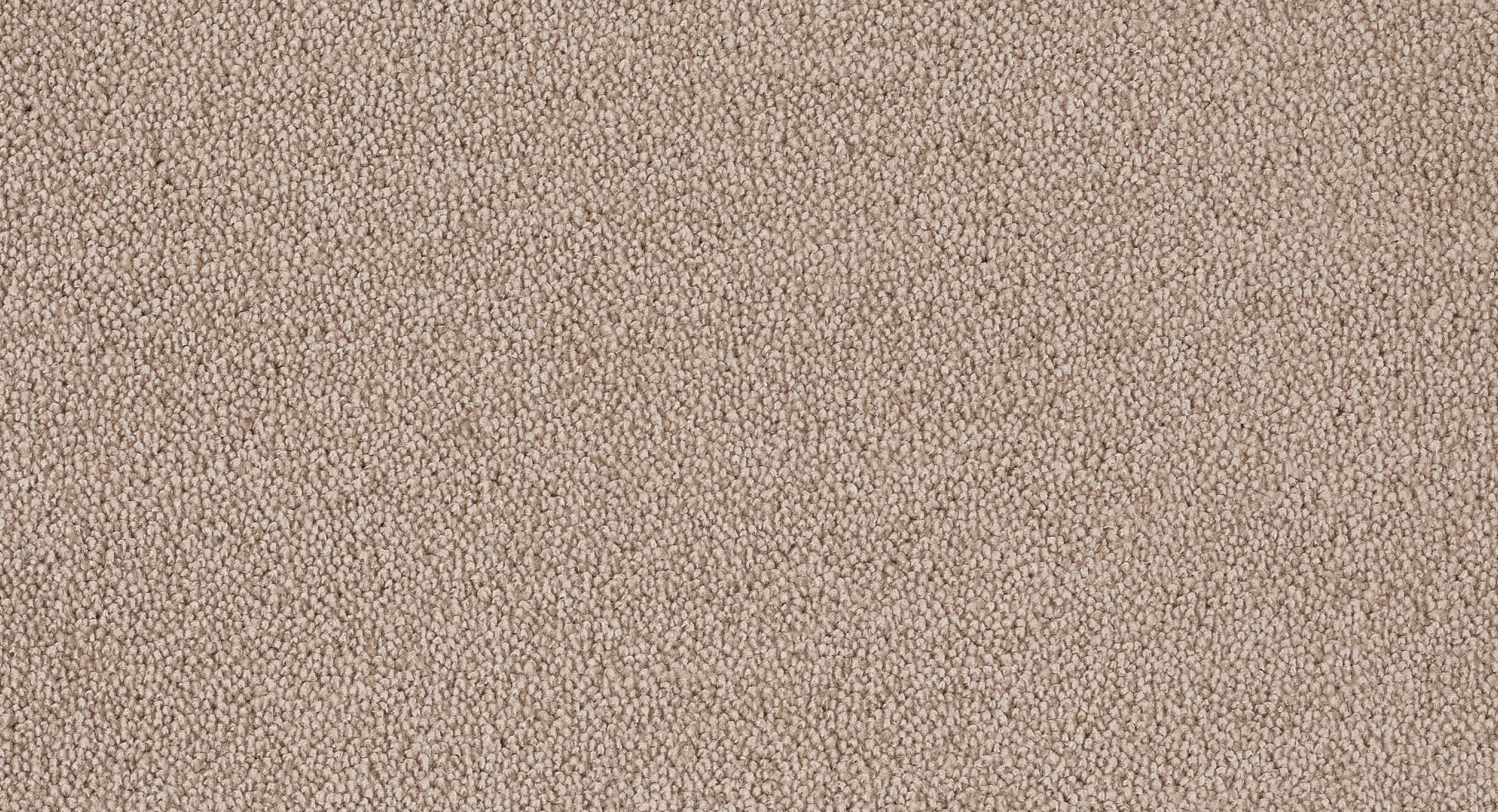 Joka Teppichboden Belle Homeline 26 Farbe 12