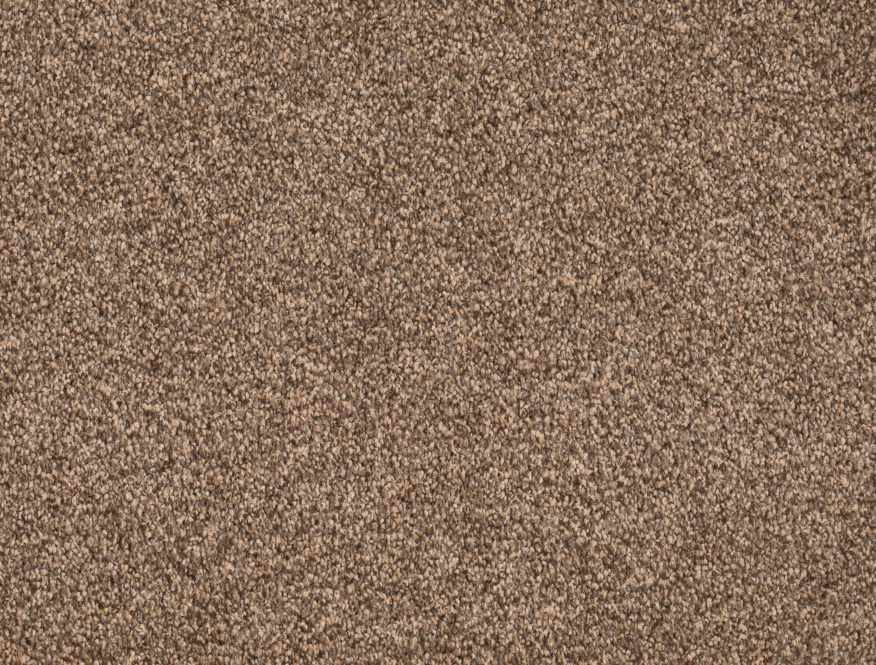 Joka Teppichboden Derby Trend 026 Farbe 43