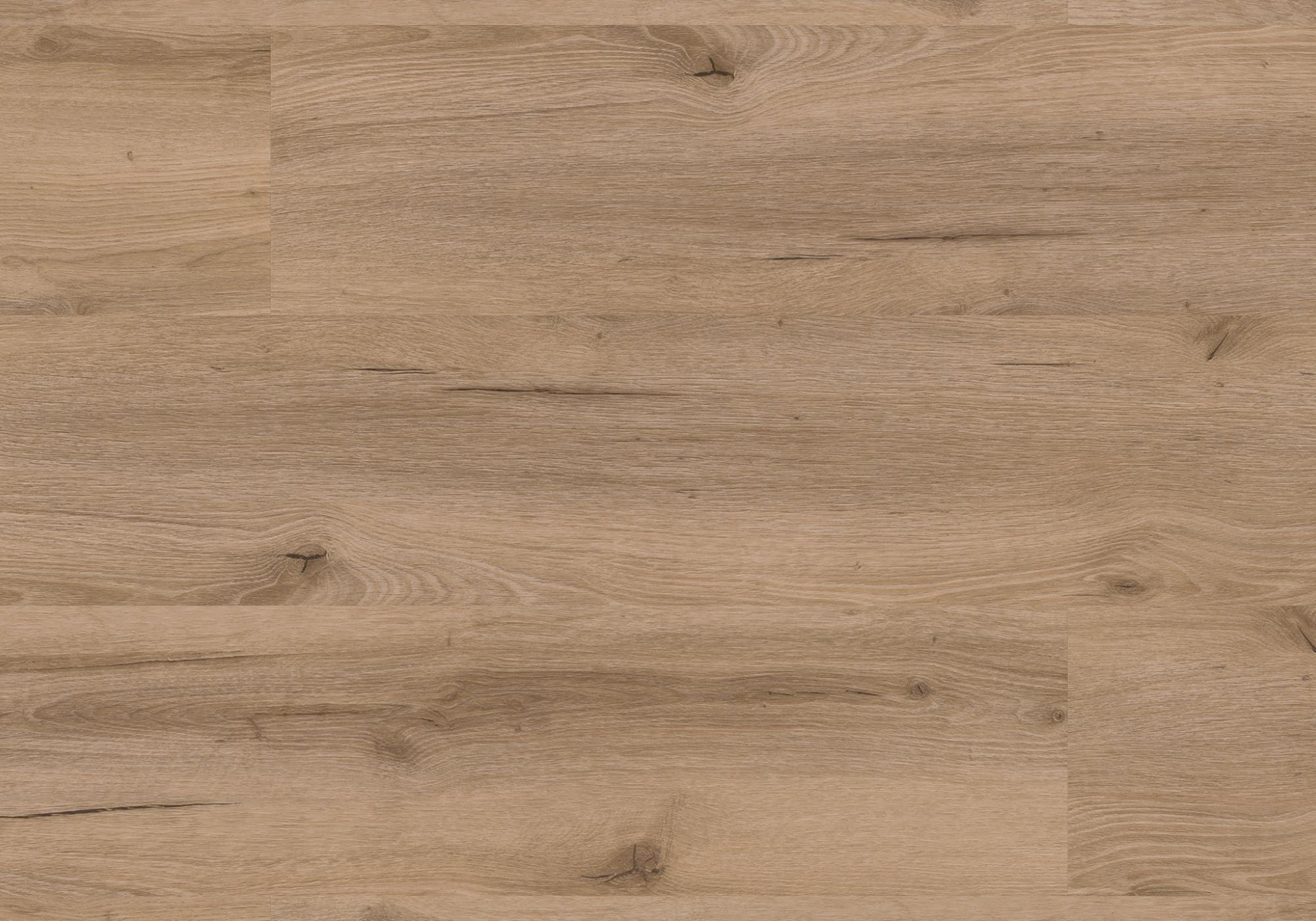Repac Klebe-Vinyl Fresh Oak Authentic 25-05 MF99885 - RUSTIC 2020 | inkl. weiße Sockelleiste