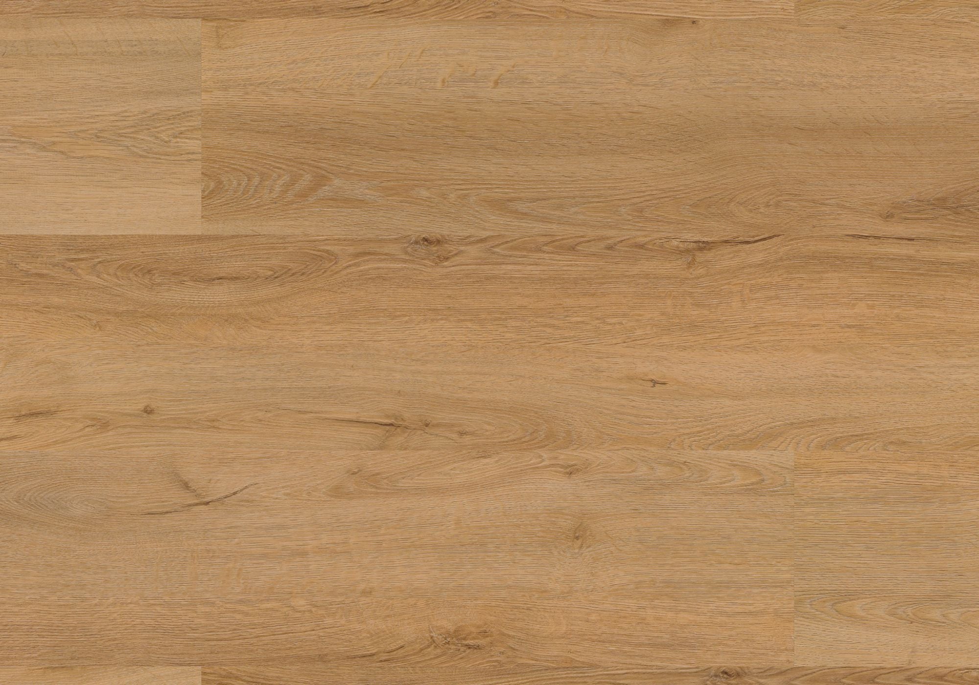 Repac Klebe-Vinyl Fresh Oak Authentic 25-05 MF99889 - PURE 1020 | inkl. weiße Sockelleiste