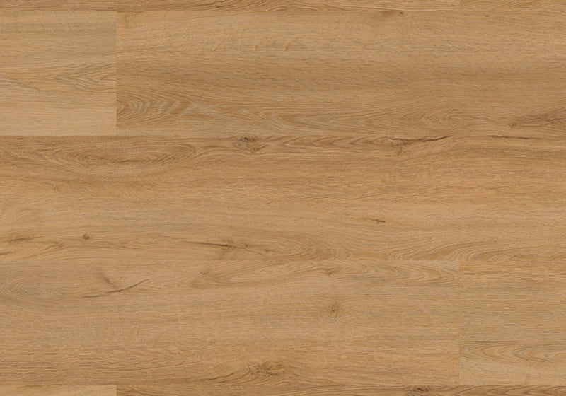 Repac Klebe-Vinyl Fresh Oak Authentic 25-05 MF99889 - PURE 1020 | inkl. weiße Sockelleiste