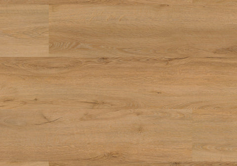 Repac Klebe-Vinyl Fresh Oak Authentic 25-05 MF99889 - PURE 1020 | inkl. weiße Sockelleiste