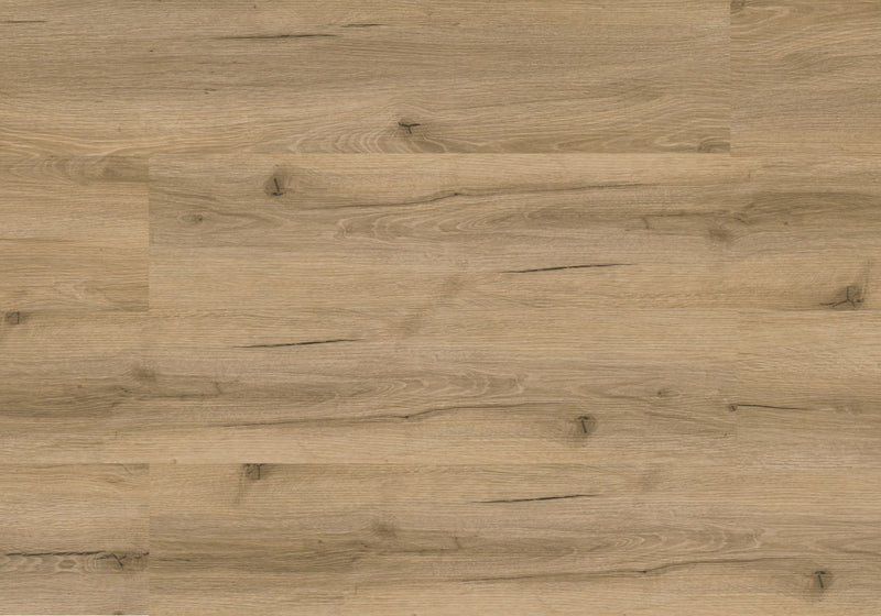 Repac Klebe-Vinyl Legend Oak 25-05 MF99972 - Eiche Toffeebraun | inkl. weiße Sockelleiste