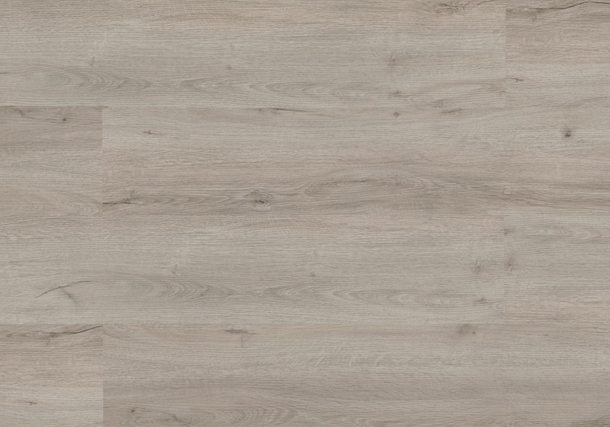 Repac Klebe-Vinyl Legend Oak 25-05 MF99975 - Eiche Hellgrau | inkl. weiße Sockelleiste