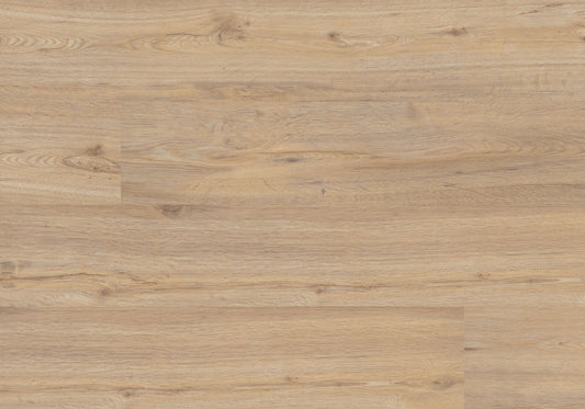 Repac Klebe-Vinyl Legend Oak 25-05 MF99979 - Eiche Hell | inkl. weiße Sockelleiste