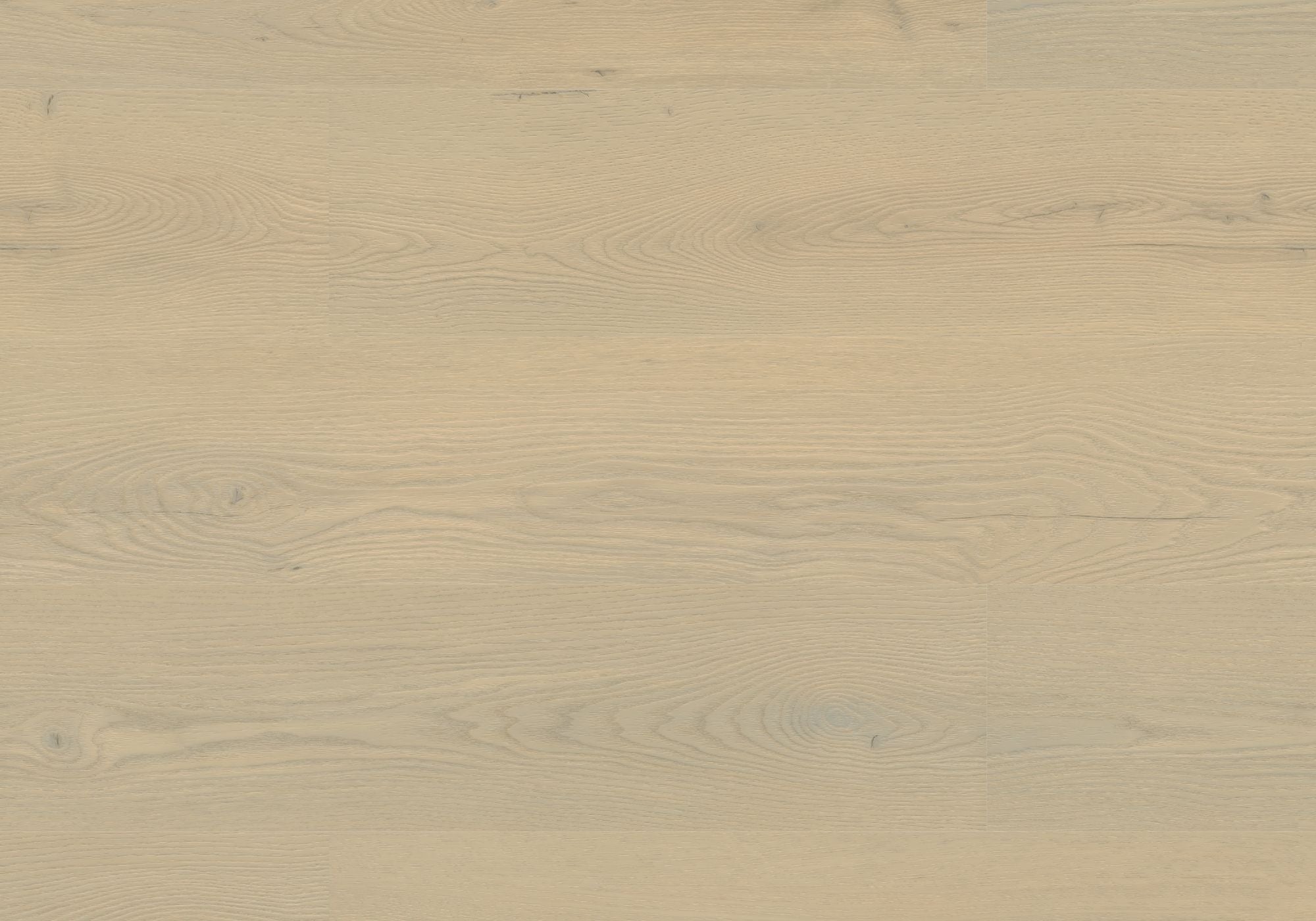 Repac Klebe-Vinyl Prime Oak 25-05 MF100032 - pure 3010 | inkl. weiße Sockelleiste