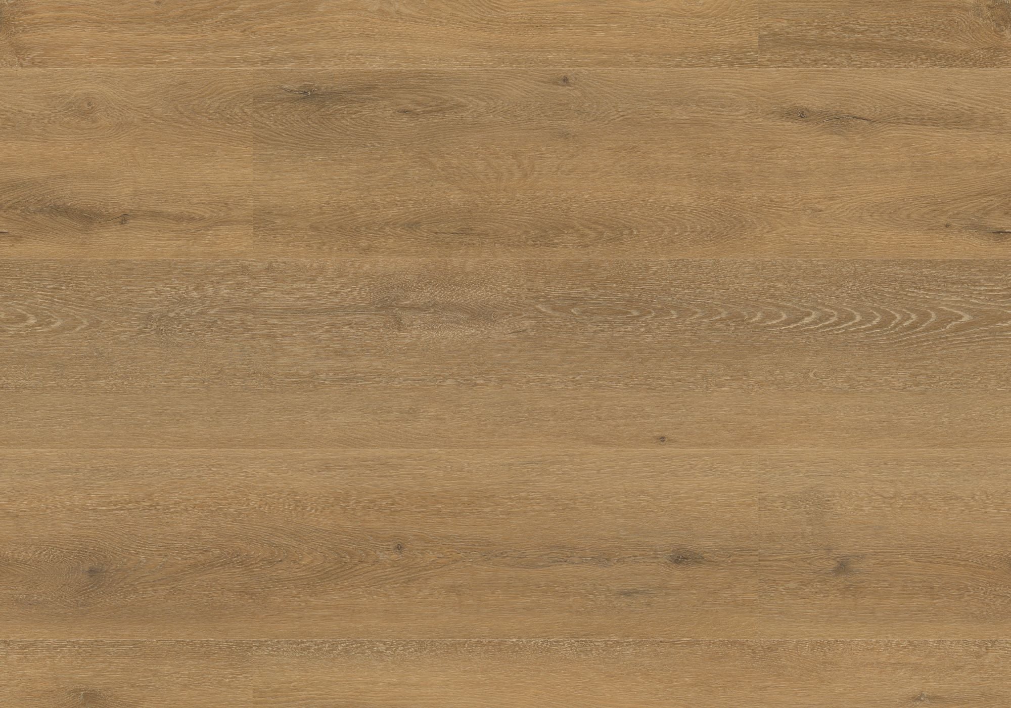 Repac Klebe-Vinyl Prime Oak 25-05 MF100036 - natural 4010 – Brombach GmbH