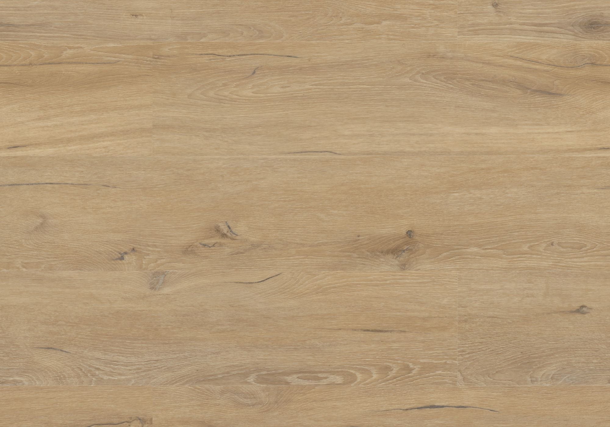 Repac Klebe-Vinyl Prime Oak 25-05 MF100038 - rustic 5010 | inkl. weiße Sockelleiste