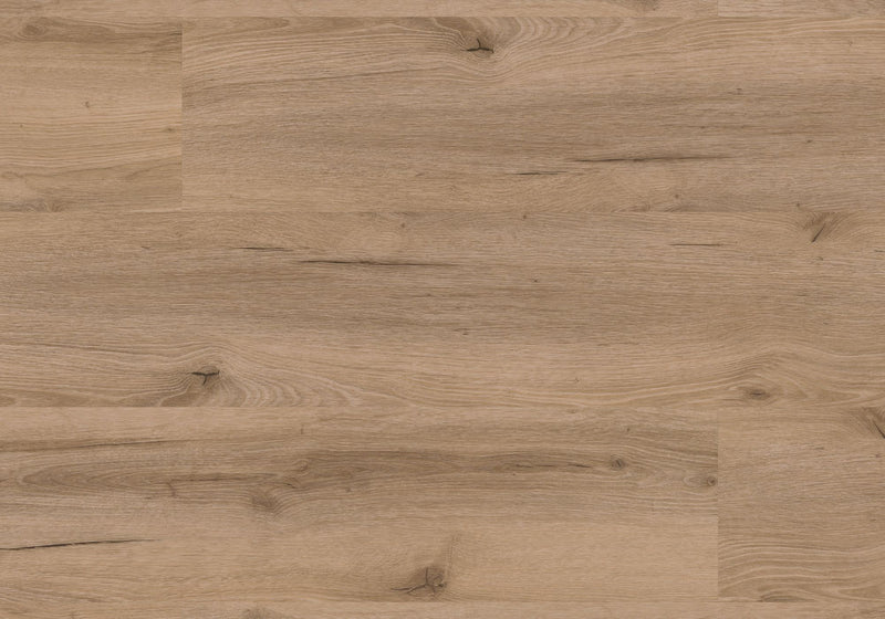 Repac Klick-Vinyl Fresh Oak Authentic 50-05 MF99893 - rustic 2020 | inkl. Trittschalldämmung & weißer Sockelleiste