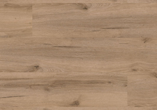 Repac Klick-Vinyl Fresh Oak Authentic 50-05 MF99893 - rustic 2020 | inkl. Trittschalldämmung & weißer Sockelleiste