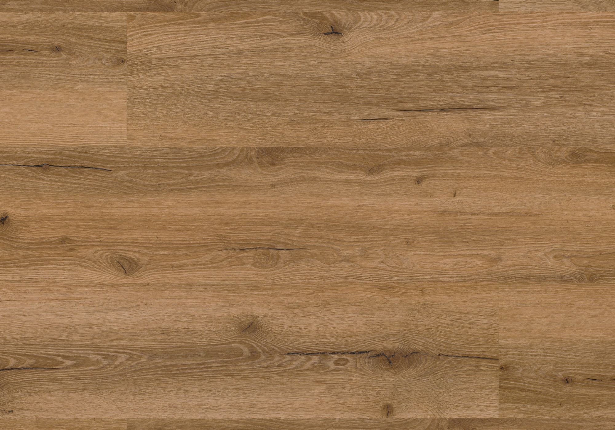 Repac Klick-Vinyl Fresh Oak Authentic 50-05 MF99894 - rustic 2030 | inkl. Trittschalldämmung & weißer Sockelleiste