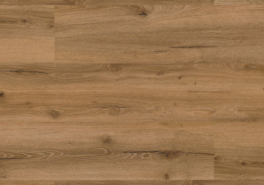 Repac Klick-Vinyl Fresh Oak Authentic 50-05 MF99894 - rustic 2030 | inkl. Trittschalldämmung & weißer Sockelleiste