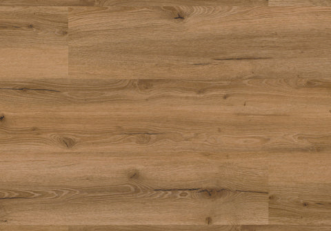 Repac Klick-Vinyl Fresh Oak Authentic 50-05 MF99894 - rustic 2030 | inkl. Trittschalldämmung & weißer Sockelleiste