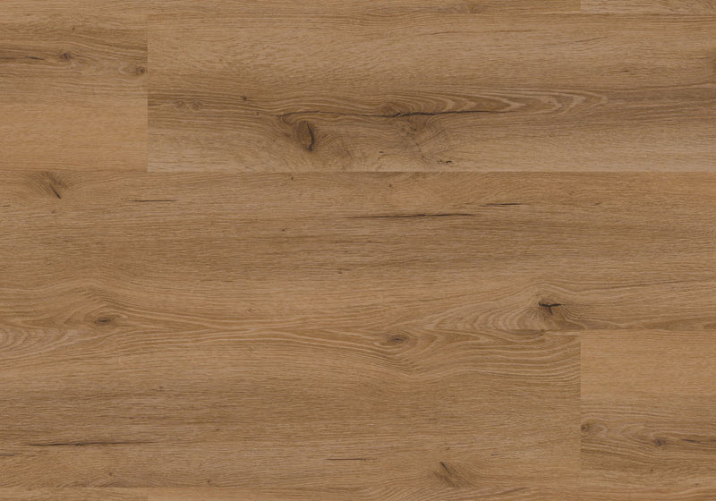 Repac Klick-Vinyl Fresh Oak Authentic 50-05 MF99895 - rustic 2040 | inkl. Trittschalldämmung & weißer Sockelleiste