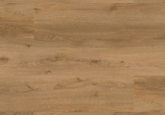 Repac Klick-Vinyl Fresh Oak Authentic 50-05 MF99899 - pure 1040 | inkl. Trittschalldämmung & weißer Sockelleiste